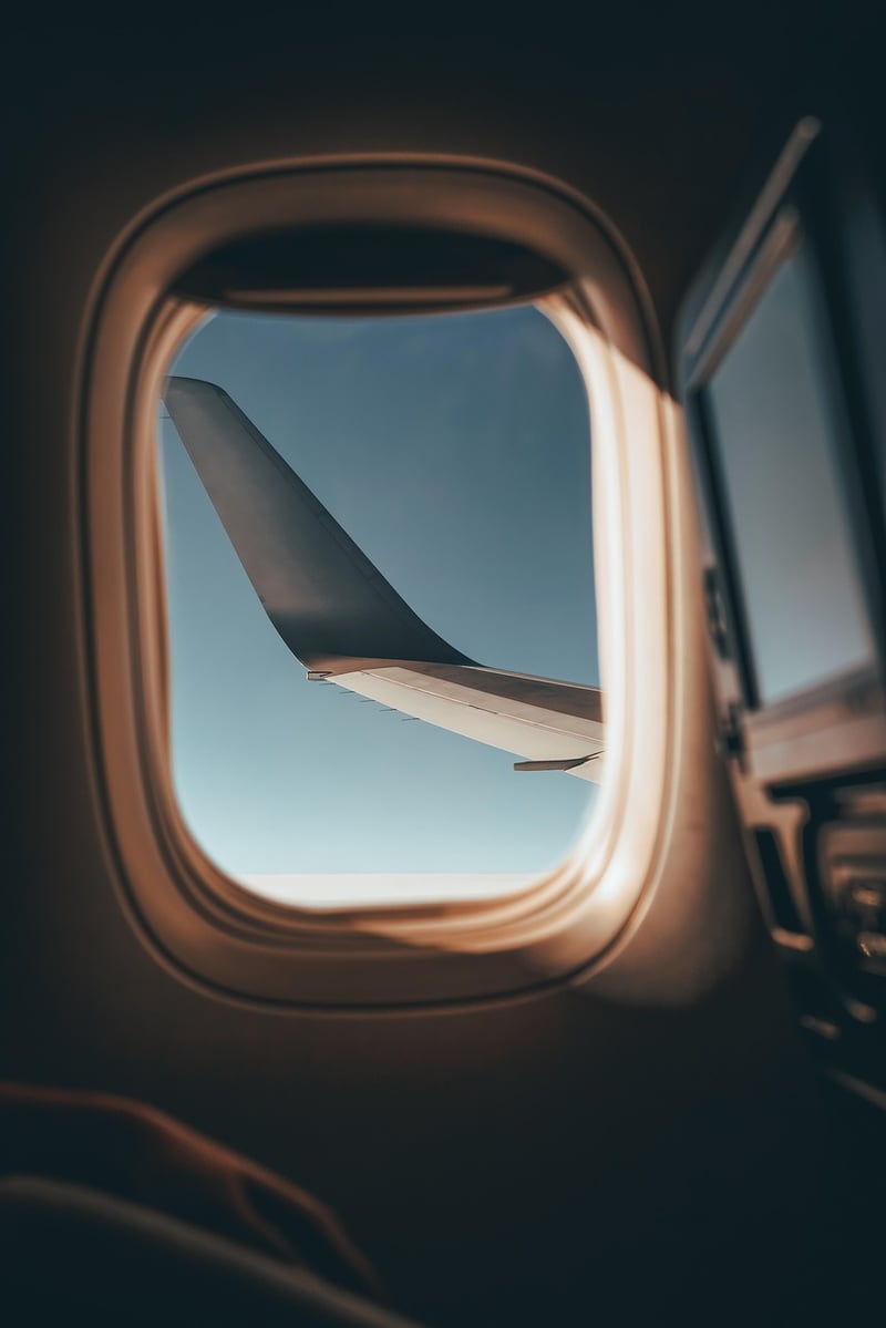 Airplane in the sky