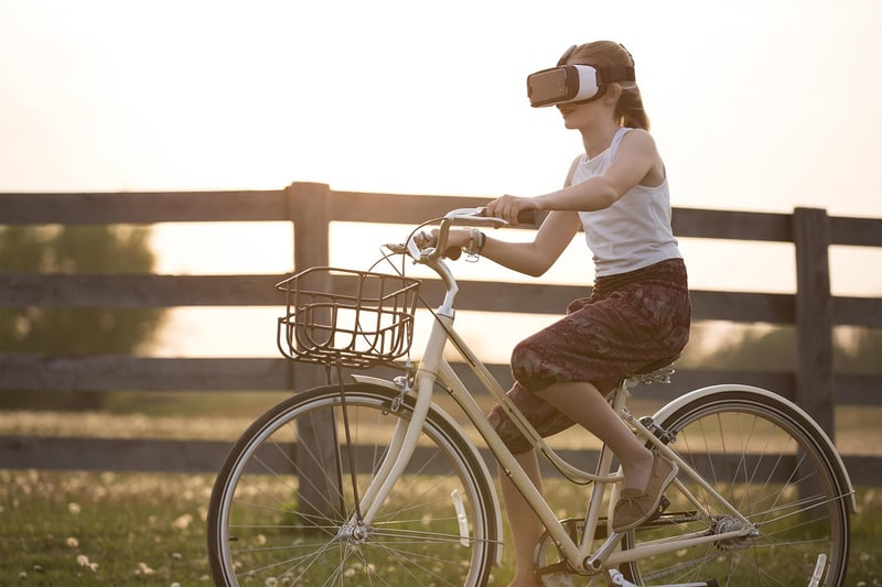 Virtual reality goggles